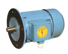 Flange-Mounted-Motors