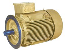 Increased-Safety-Motor
